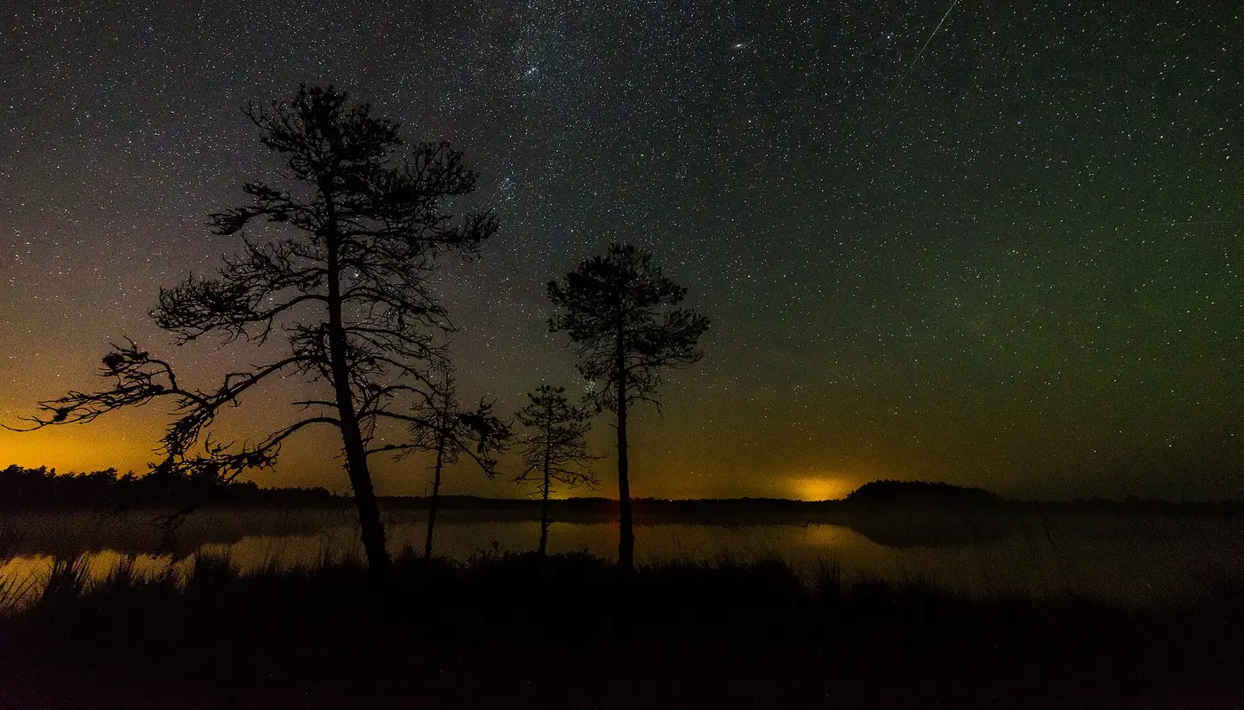 In the photo there is one Perseid, Milky Way and Andromega galaxy and light pollution on the horizon Luhasoo bog in Es